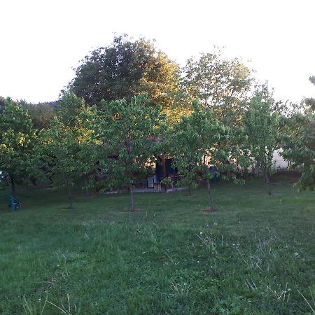 Casa Cionca Pensionat Gilău Eksteriør billede
