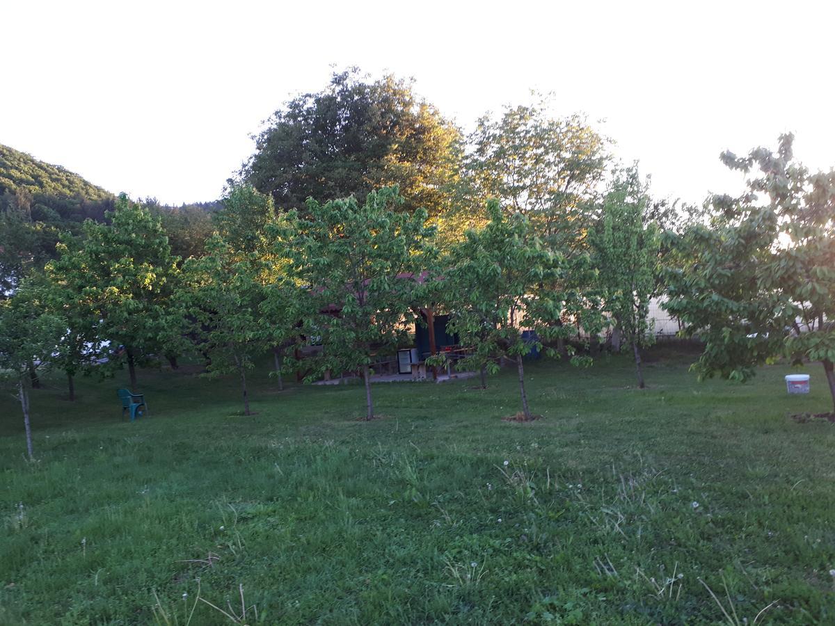 Casa Cionca Pensionat Gilău Eksteriør billede