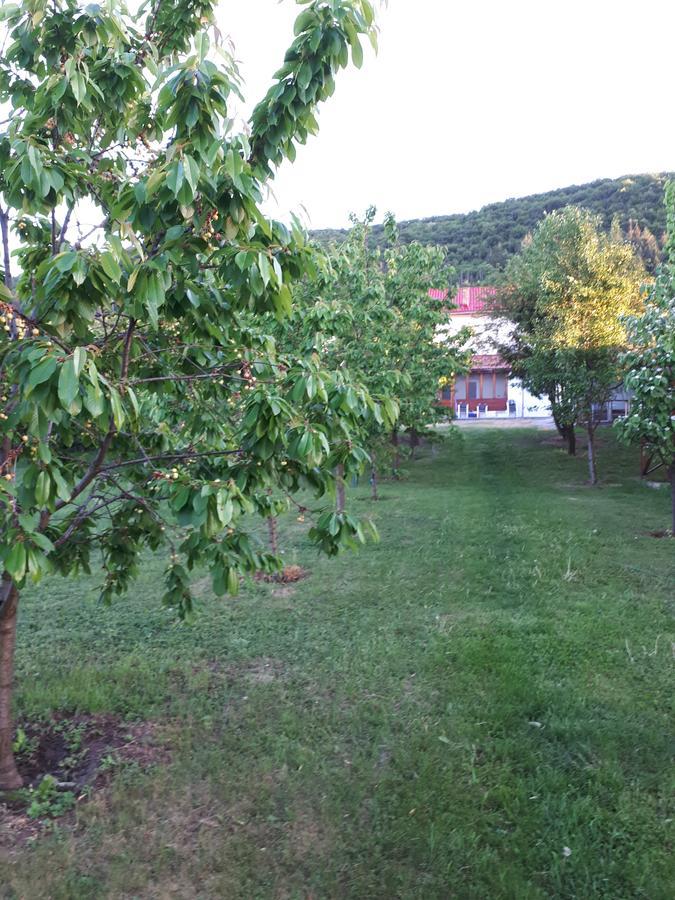 Casa Cionca Pensionat Gilău Eksteriør billede