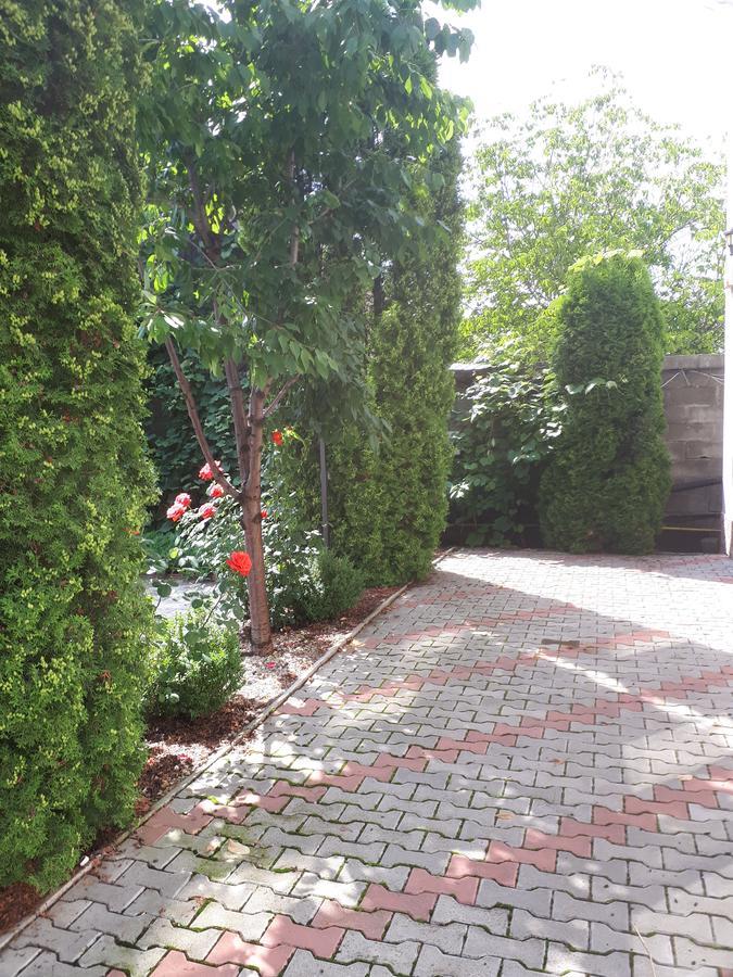 Casa Cionca Pensionat Gilău Eksteriør billede